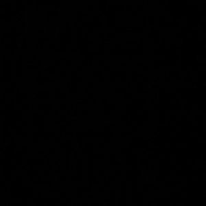 Meet your Posher, Javon